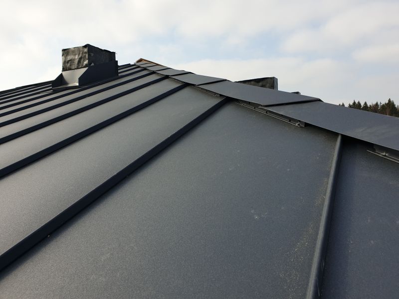 Aluminum Roof Waterproofing in Conifer, CO