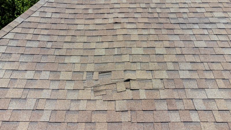Asphalt Roof Inspection in Arvada, CO