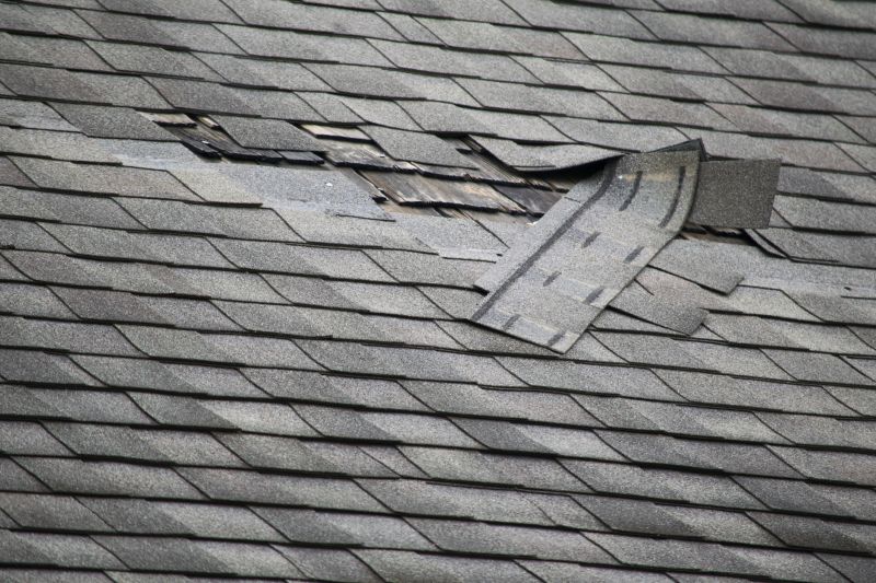 Asphalt Roof Repair in Clear Creek County, CO
