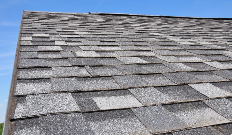 Asphalt Roofing Service in Conifer, CO