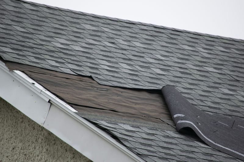 Asphalt Shingles Repair in Denver County, CO