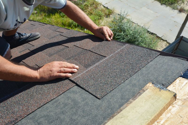 Asphalt Shingles Repair in Park County, CO