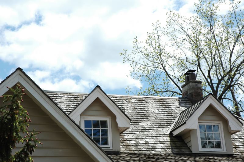 Cedar Roof Installation in Park County, CO