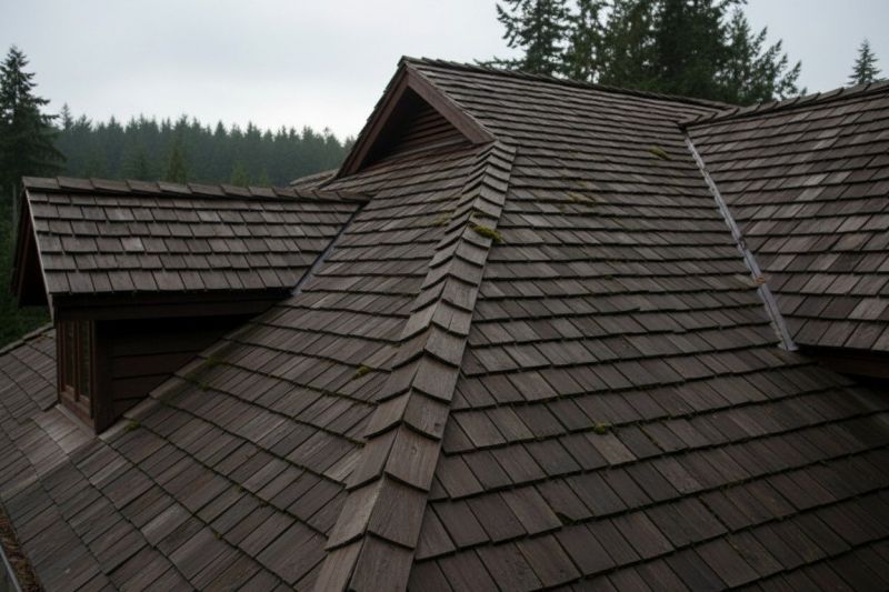Cedar Shake Roof Replacement in Conifer, CO