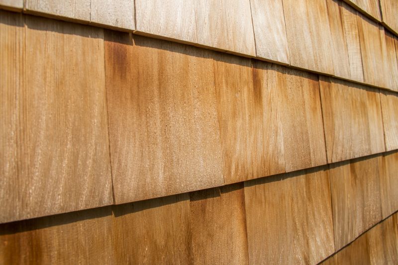 Cedar Shingles Repair in Douglas County, CO