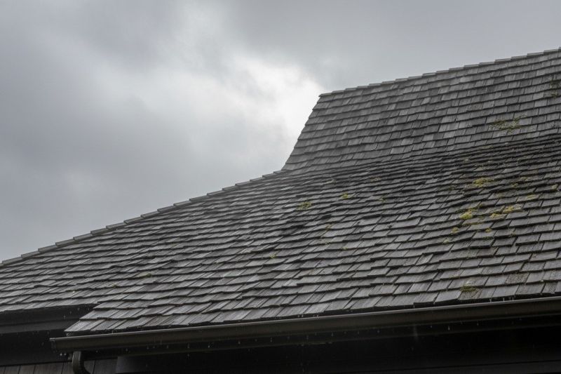Cedar Shingles Replacement in Douglas County, CO