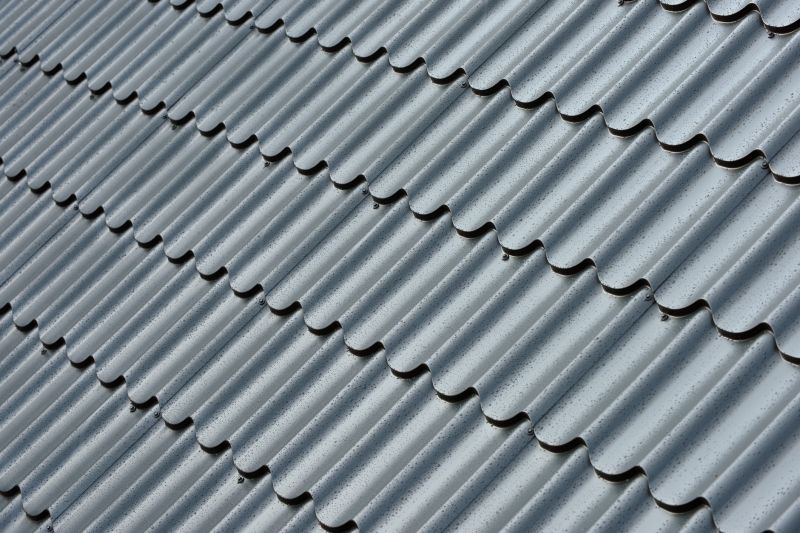 Corrugated Roof Repair in Black Hawk, CO