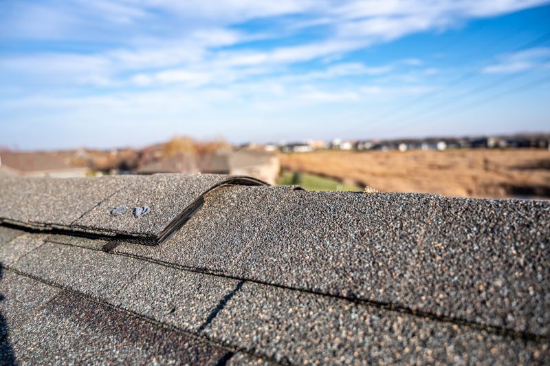 Damaged Roof Repair in Black Hawk, CO