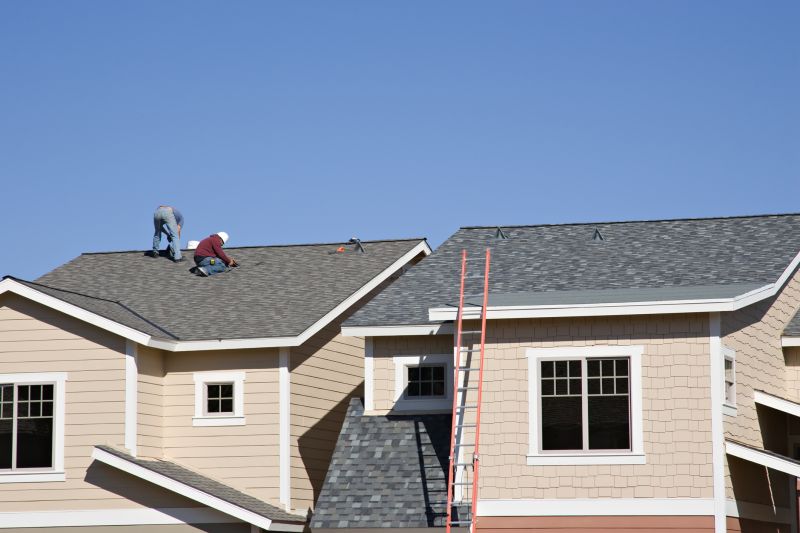 Damaged Roof Repair in Denver, CO
