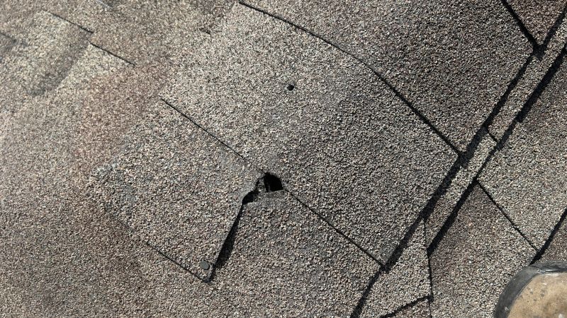 Damaged Roof Repair in Douglas County, CO