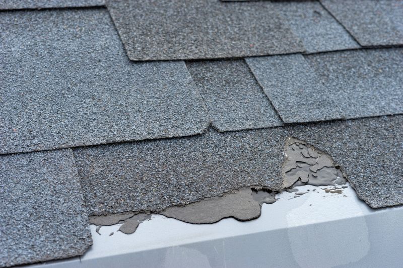 Damaged Roof Repair in Morrison, CO