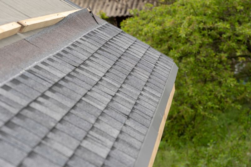 Damaged Roof Repair in Sedalia, CO