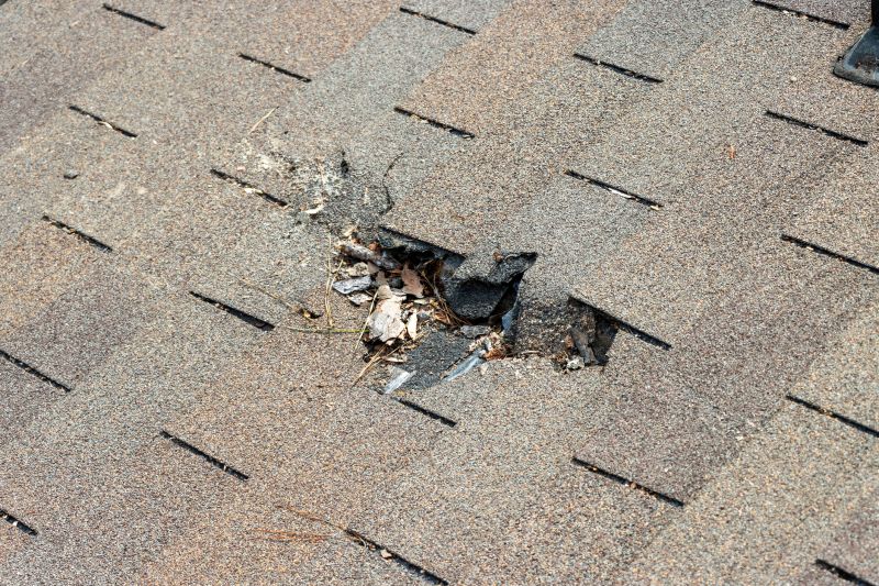 Damaged Roof Replacement in Park County, CO