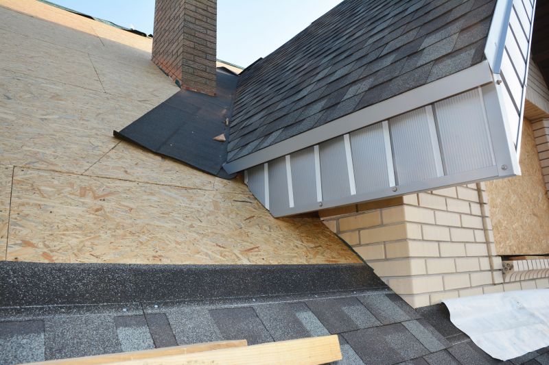 Dormer Repair in Douglas County, CO