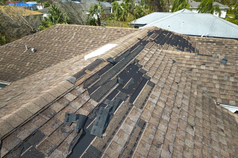 Dormer Roof Repair in Conifer, CO