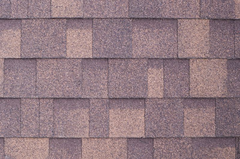 Fiberglass Shingles Repair in Conifer, CO