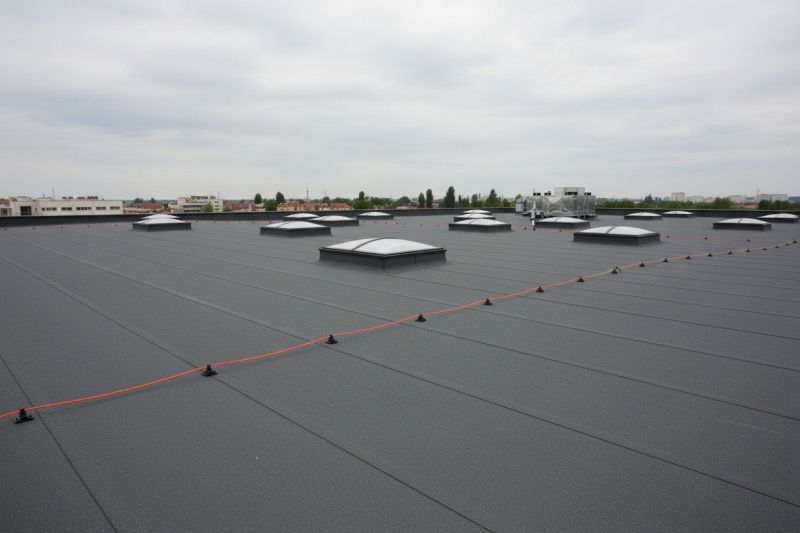 Flat Roof Replacement in Gilpin County, CO
