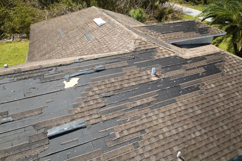 Hail Damage Roof Repair in Conifer, CO