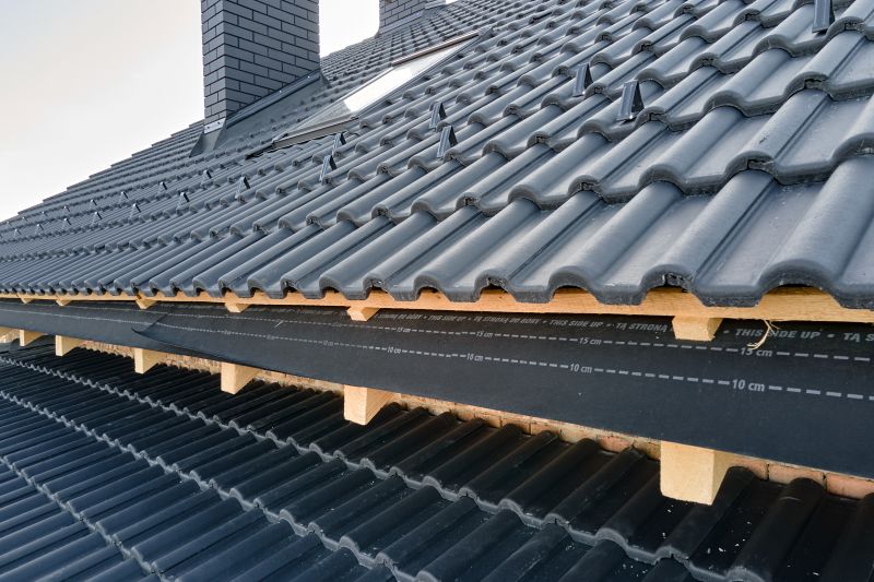 Roof Construction in Douglas County, CO