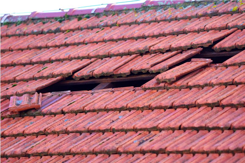 Roof Damage Inspection in Wheat Ridge, CO