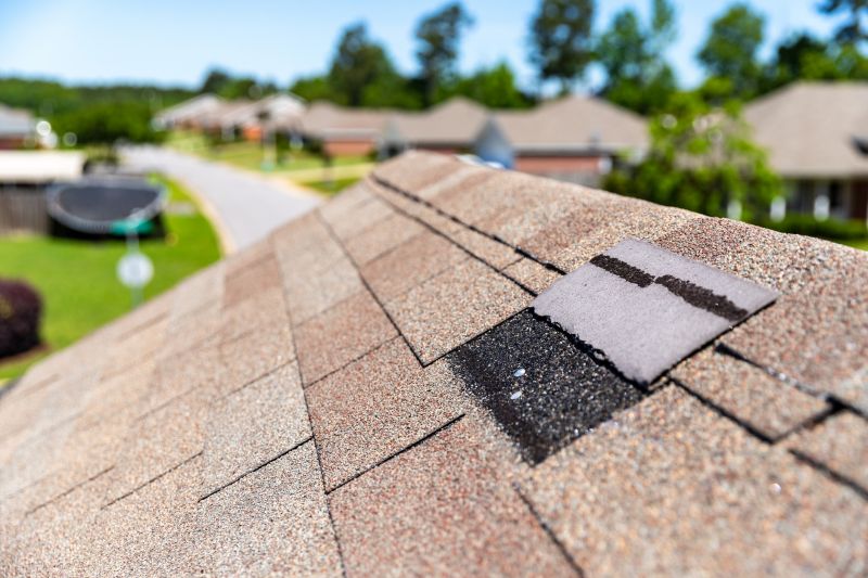 Roof Hail Damage Repair in Conifer, CO