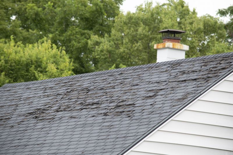 Roof Hail Damage Repair in Conifer, CO