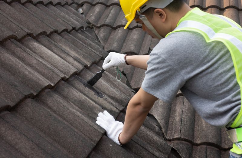 Roof Patching Service in Conifer, CO