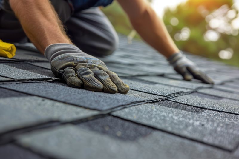 Shingle Replacement Service in Conifer, CO