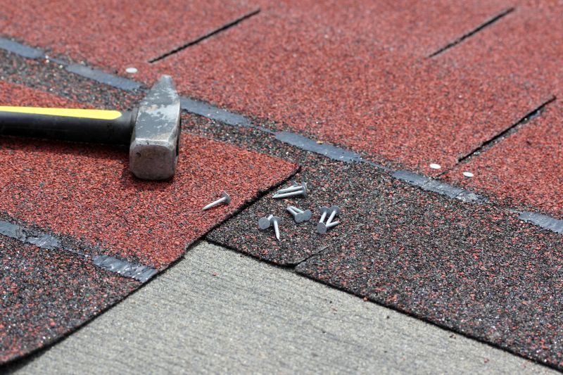 Shingles Repair in Conifer, CO