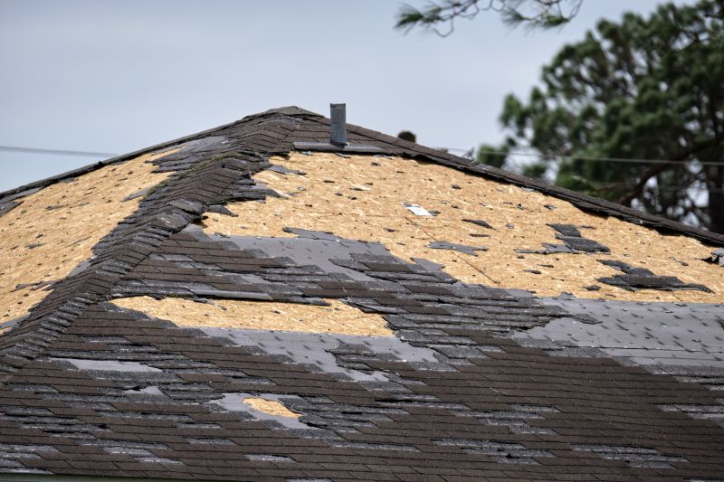 Storm Damage Roof Repair in Park County, CO