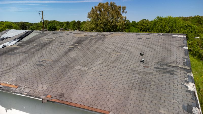 Storm Damage Roof Tarping in Conifer, CO