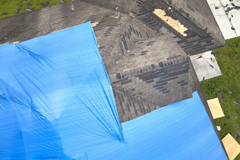Storm Damage Roof Tarping in Conifer, CO