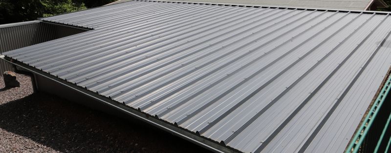 Tin Roof Installation in Park County, CO