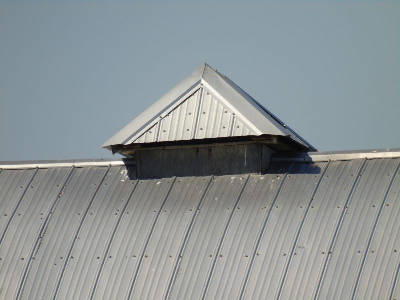 Tin Roof Installation in Sedalia, CO
