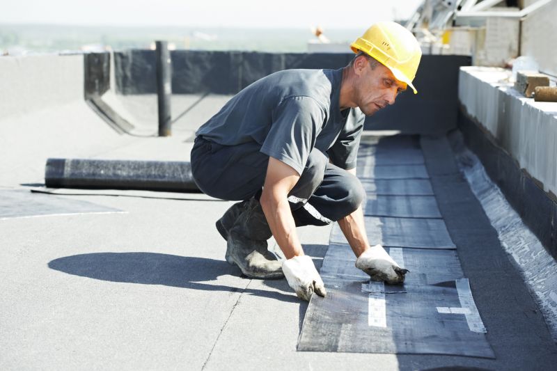 Tpo Roof Repair in Park County, CO