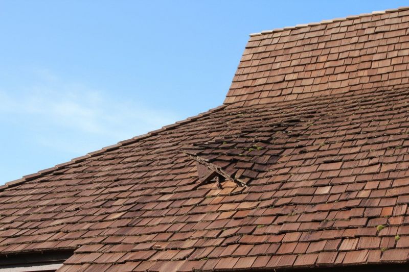Wood Shake Roof Replacement in Park County, CO